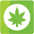 CBD - produkty z konope