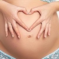 The first manifestations of pregnancy