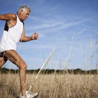 Healthy joints and bones until old age