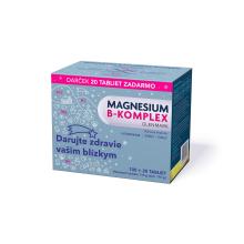 MAGNESIUM B-KOMPLEX 100+20 TBL ZADARMO (Vianočné balenie)