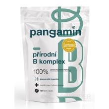 PANGAMIN PRÍRODNÝ B-KOMPLEX