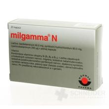 MILGAMMA N