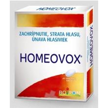 HOMEOVOX