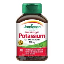 JAMIESON POTASSIUM 100 mg WITH PROGRESSIVE RELEASE