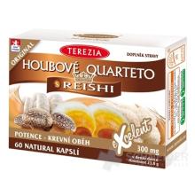 TEREZIA HUBOVÉ QUARTETO s REISHI 60