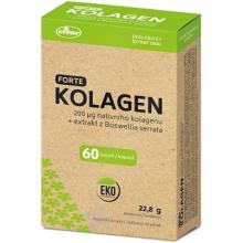 VITAR KOLAGEN FORTE + extrakt z Boswellia serrata