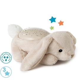 Cloud b® Twilight Buddies™ Bunny Night light, Bunny, 0m+