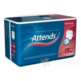 ATTENDS Adjustable 10 L