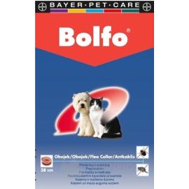 BOLFO collar for cats and small dogs