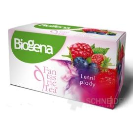 Biogena Fantastic Tea Lesné plody