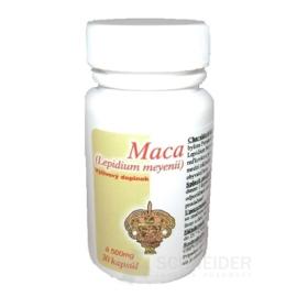 MACA Extract 6: 1 - Amazonas