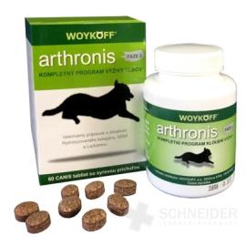 arthronis FÁZA 2