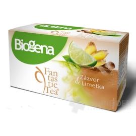 Biogena Fantastic Tea Ginger & Lime