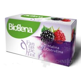 Biogena Fantastic Tea Malina & Ostružina