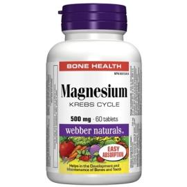 Webber Naturals Magnesium 500 mg