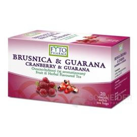 FYTO BRUSNICA & GUARANA