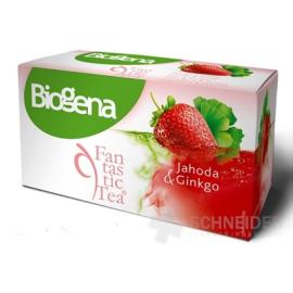 Biogena Fantastic Tea Jahoda & Ginkgo