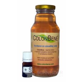 ColonBene + S