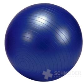 GYMY OVER BALL REHABILITAČNÁ LOPTA 25 cm