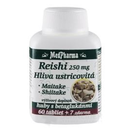 MedPharma REISHI 250 mg, Hliva ustricovitá