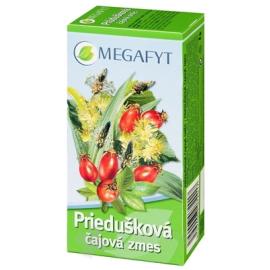 MEGAFYT Bronchial tea mixture