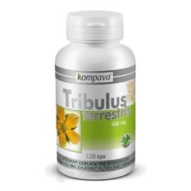 TRIBULUS TERRESTRIS comp