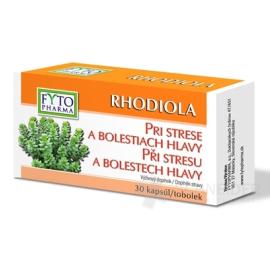 PHYTO RHODIOLA