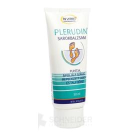 PLERUDIN