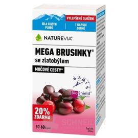 SWISS NATUREVIA MEGA BRUSNICE SO ZLATOBYĽOU
