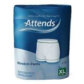 ATTENDS Stretch Pants XL