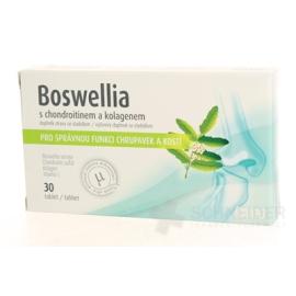 BOSWELLIA s chondroitínom a kolagénom