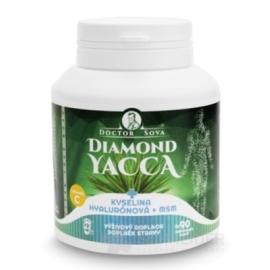 DIAMOND YACCA + hyaluronic acid + MSM
