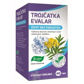 Evalar TROJČATKA