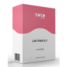 TOTO LAKTOBACILY