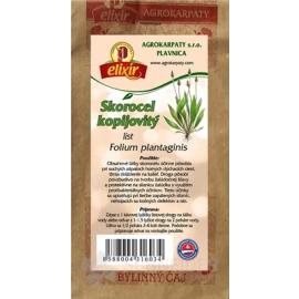 AGROKARPATY SKOROCEL KOPIJOVITÝ list