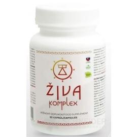 ŽIVA komplex