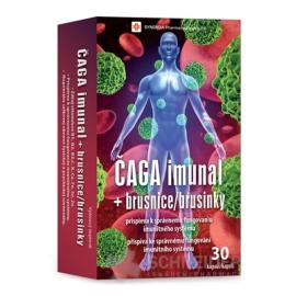 ČAGA imunal + brusnice