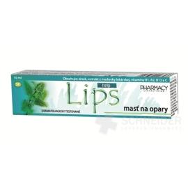 LIPS HELP masť na opary