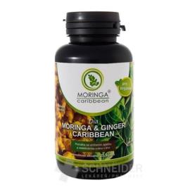 MORINGA Dia MORINGA & GINGER Caribbean