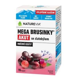 SWISS NATUREVIA MEGA CRANBERRY ACUTE WITH ZLATOBYĽOU