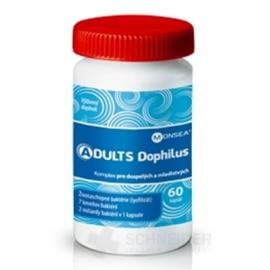 ADULTS DOPHILUS