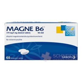 MAGNE-B6