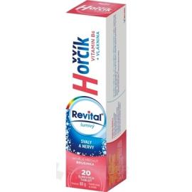 Revital Magnesium + B6 sparkling