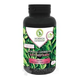 MORINGA Moringa Caribbean ANTI-HISTAMIN