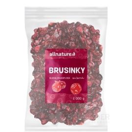 Allnature BRUSNICE sušené