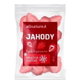 Allnature STRAWBERRY FREEZER DRIED