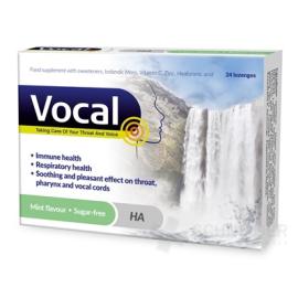 Vocal HA Pastilles without sugar with mint flavor 24 pcs