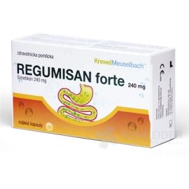 REGUMISAN forte 240 mg