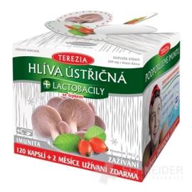 Hliva ustricovitá + lactobacily AKCIA 1+1