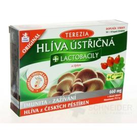 Hliva ustricovitá + lactobacily so šípkami